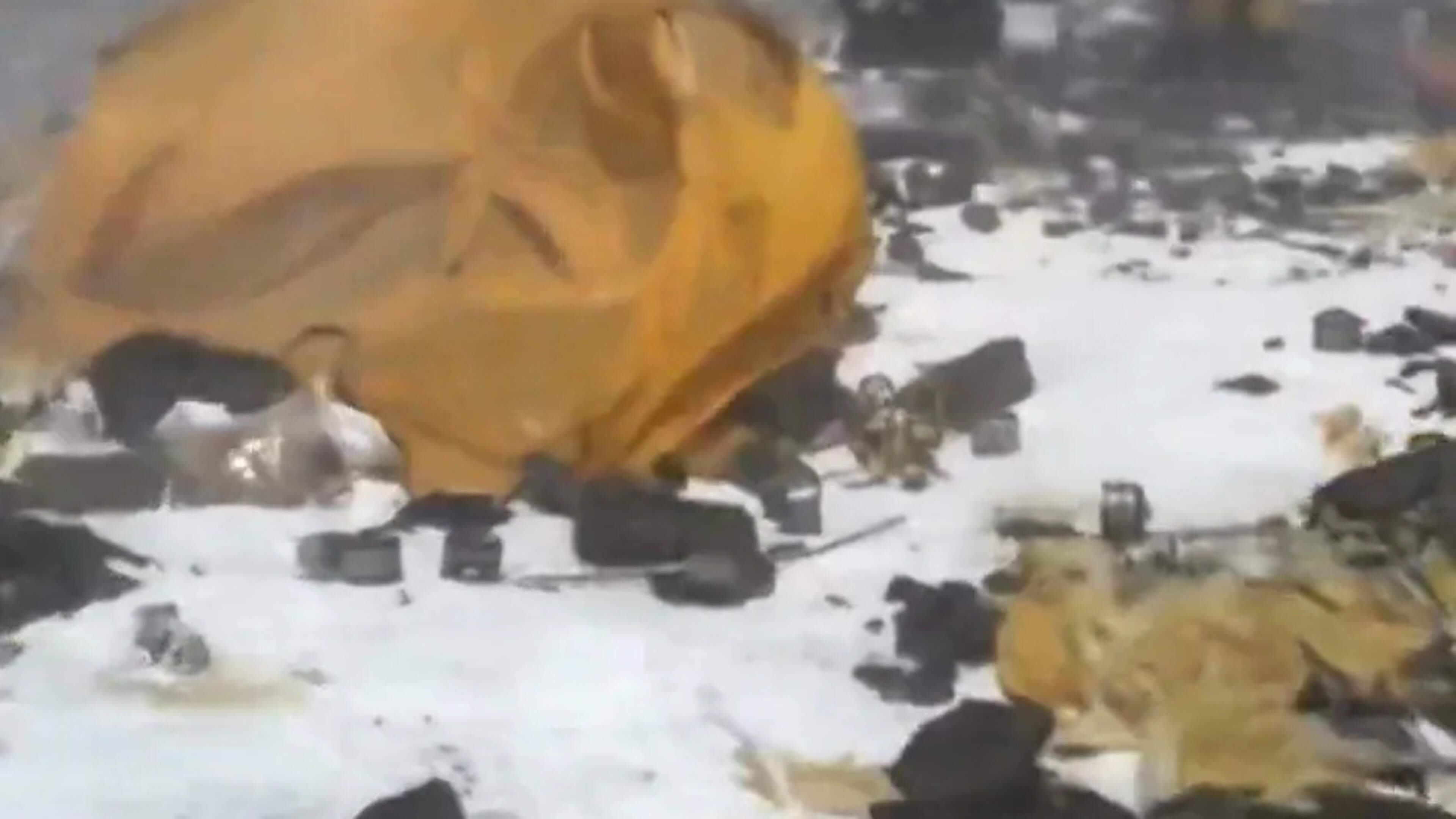 Rubbish piles up at Everest’s highest camp after record climbing season